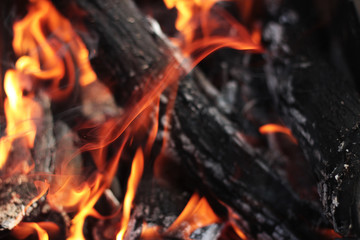 the flame of fire in focus against the background of burning wood and charcoal