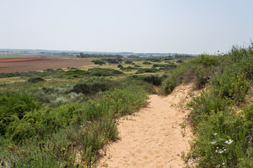At Sharon Beach National Park, Sharon area