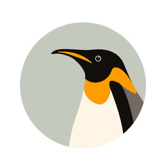 penguin  profile side vector illustration flat style 