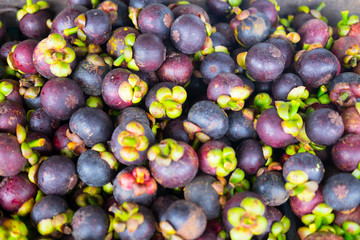 Mangosteen queen of fruit