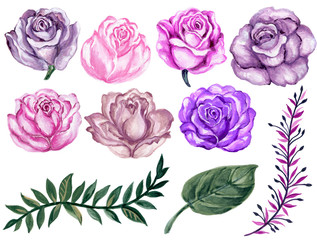 Hand painted vintage rose floral colorful element set