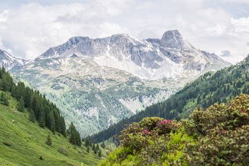 Fototapeta na wymiar Naturpark Riedingtal Zederhaus mit Blick auf die Berge, Österreich
