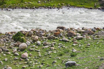 Obraz premium Old stone wall with green ivy texture