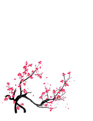 Watercolor sakura frame. Background with blossom cherry tree branches. Hand drawn japanese flowers background