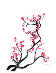 Watercolor sakura frame. Background with blossom cherry tree branches. Hand drawn japanese flowers background