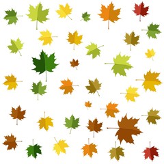 Fototapeta premium Autumn leaf background