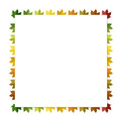 Autumn frame with colorful plants