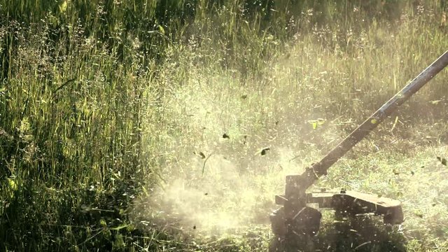 Lawn string trimmer cutting grass. Close-up shot in slow motion mode.