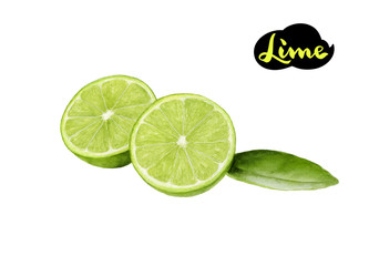 lime watercolor hand draw illustration isolated on white