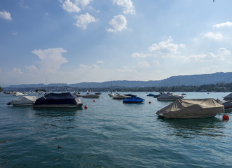 Fototapeta na wymiar Vue sur le grand lac de Zurich en Suisse