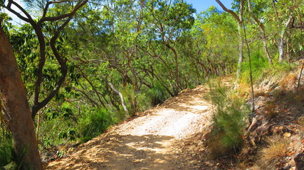 Fototapeta na wymiar Hiking in Hamilton Island, Queensland, Australia