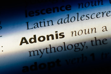 adonis