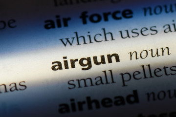 airgun