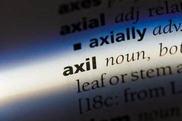 axil