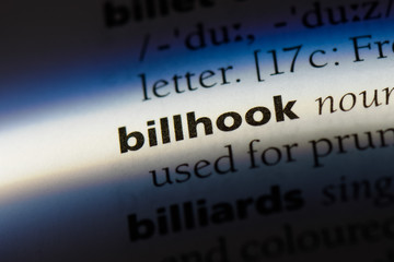 Obraz premium billhook