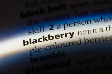 blackberry