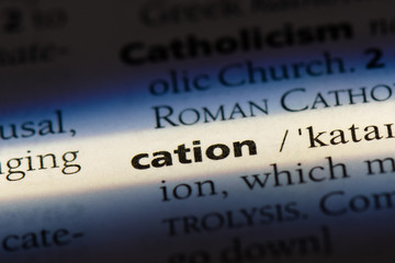 Obraz premium cation