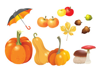 Set of autumn objects. Pumpkins different types, mushrooms, umbrella, apples, acorns and leaf. Vector illustration collection.