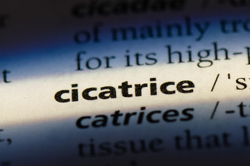  cicatrice