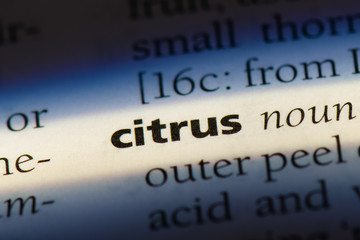 Obraz premium citrus