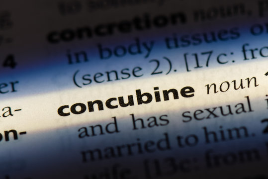  Concubine