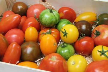 tomates anciennes