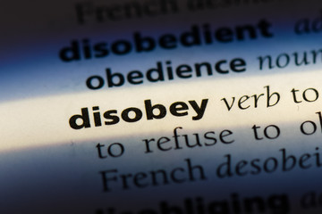  disobey