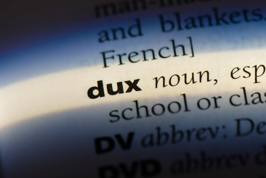  dux