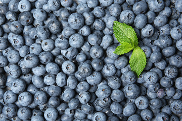 Juicy fresh blueberries and green leaves as background, top view