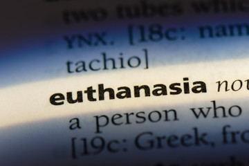  euthanasia