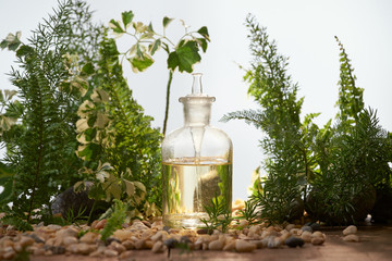 Natural organic botany and scientific glassware, Alternative herb medicine, Natural skin care...