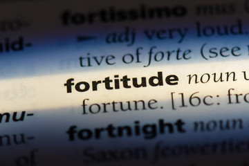  fortitude