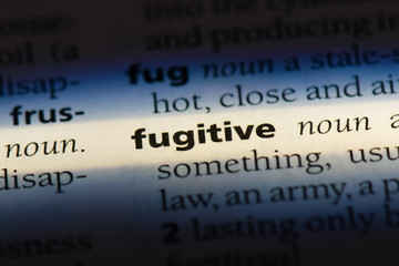  fugitive