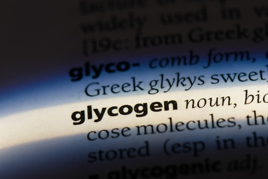  Glycogen