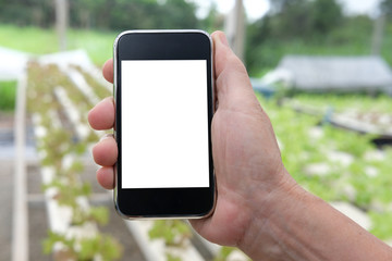 agronomist farmer using smart phone to monitor ec, pH, temperature of lettuce vegetable in hydroponic farm
