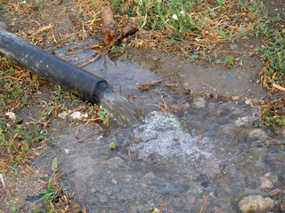 Running water in lemon grove