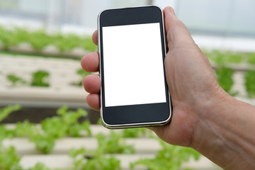 agronomist farmer using smart phone to monitor ec, pH, temperature of lettuce vegetable in...