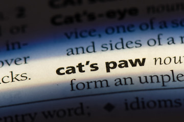  cat's paw