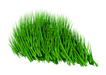 3D Rendering Green Grass on White
