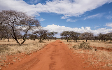 Naklejka premium Northern Cape Landscape