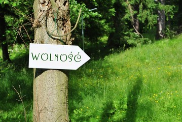 Wolność
