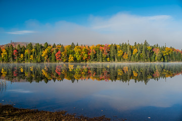 This is a picture of autumn leaves seen from the National Park "Mont-Tremblant" in the Laurentian Plateau in Quebec, Canada. I am watching the Mont-Tremblant Plateau from the lake.
