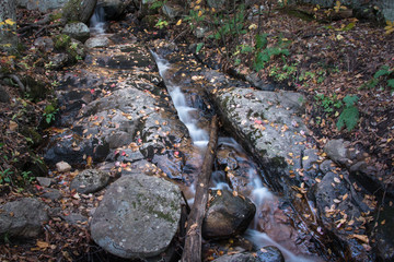 Stream with fallen autumn leaves in Mont Tremblant, Quebec, Canada