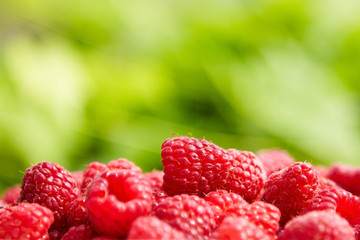 Fresh ripe raspberries on blurred green background