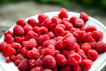 Fresh ripe raspberries in a white bowl on blurred background