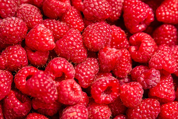 Fresh red ripe raspberries background