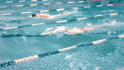 High angle three swimmers having competition in swimming pool tracking shot - Powered by Adobe