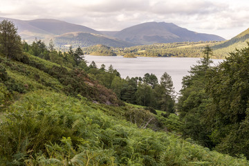 Landscape of English Lake District