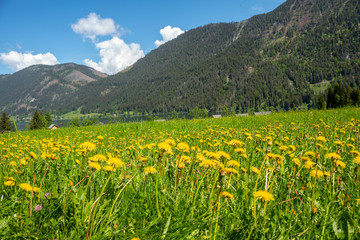 Fototapeta premium Österreich, Kärnten, Weissensee, 2018,