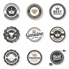 Vintage Retro Vector Logo for banner